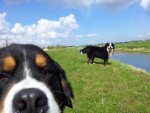Lobbes en Jasper